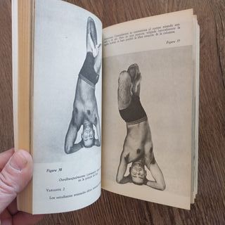 LIBRO DEL YOGA, EL (LIBBOL0543)