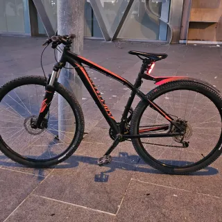 Bicicleta Specialized 29
