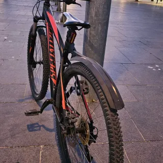 Bicicleta Specialized 29