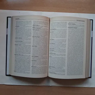 Diccionario De Economía Y Finanzas