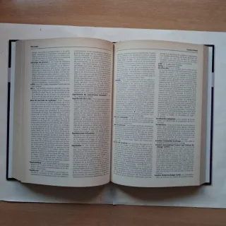 Diccionario De Economía Y Finanzas