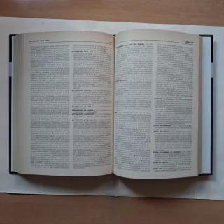 Diccionario De Economía Y Finanzas