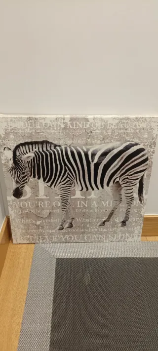 Cuadro Lienzo Cebra Blanco y Negro