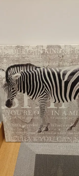 Cuadro Lienzo Cebra Blanco y Negro