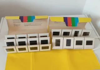 SCALA 24 slides Dalle origini all'arte greca