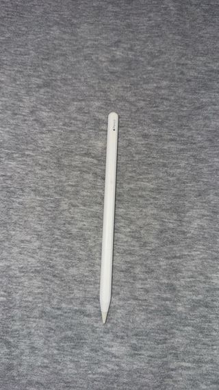 iPad Mini Negro With Apple Pencil