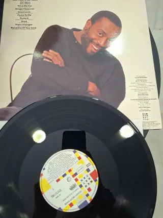 Bobby McFerrin - Simple Pleasures Vinilo