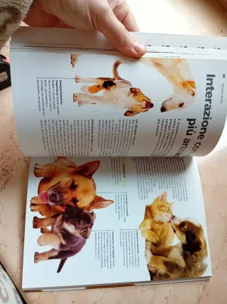 Dog decoder. Come interpretare il linguaggio se...