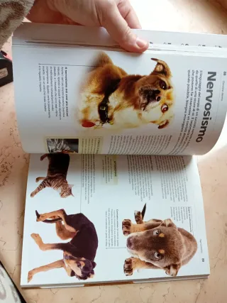 Dog decoder. Come interpretare il linguaggio se...