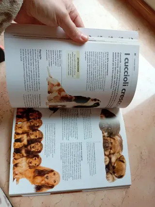 Dog decoder. Come interpretare il linguaggio se...