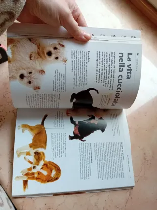 Dog decoder. Come interpretare il linguaggio se...