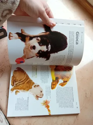 Dog decoder. Come interpretare il linguaggio se...