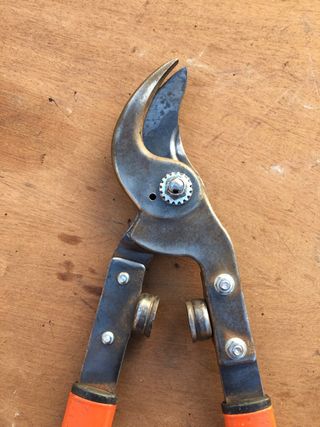 Tijeras de podar BAHCO P16