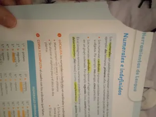LENGUA CASTELLANA SERIE ACENTOS 6 PRIMARIA CONS...