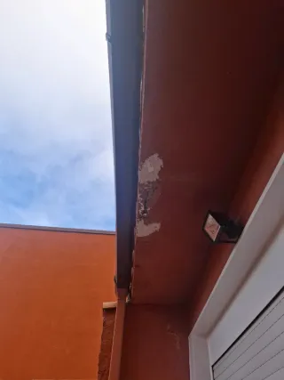 Manitas Angel #632292099