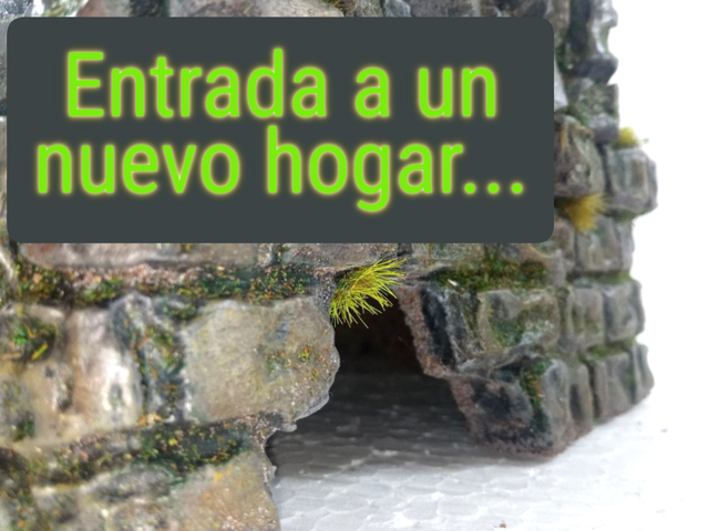 Cueva Refugio Reptiles Hecha a Mano