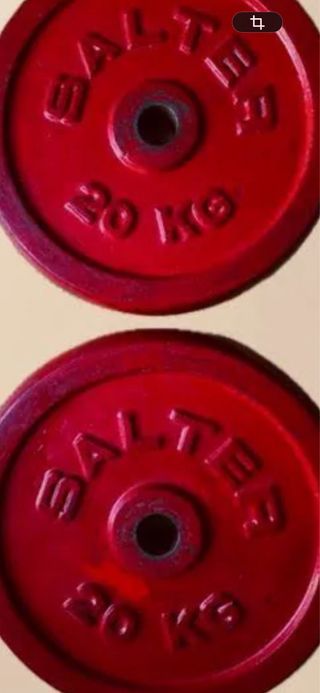 Pareja discos SALTER 2x20 kg