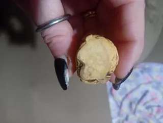 Netsuke giapponesi - 5 sculture