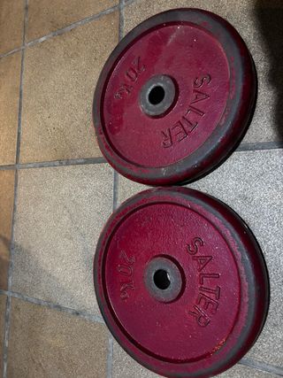 Pareja discos SALTER 2x20 kg
