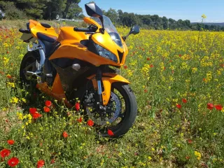 Honda CBR 600 RR Naranja.