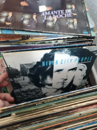 Lote 300 vinilos variados