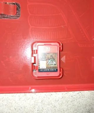 The Legend of Zelda Tears of the Kingdom NS2