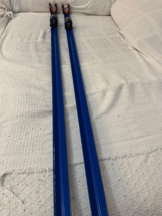 Pinchos de pesca Sparus