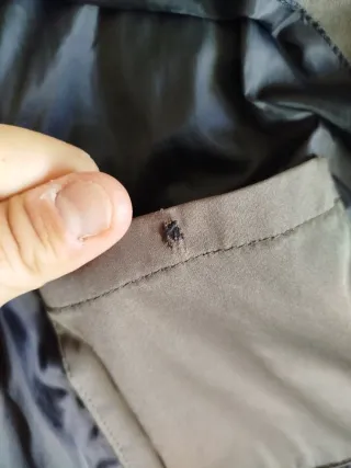 Chaqueta Zara Hombre Verde Caqui