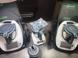 SE VENDEN VARIOS THERMOMIX'S TM6 Y FRIEND