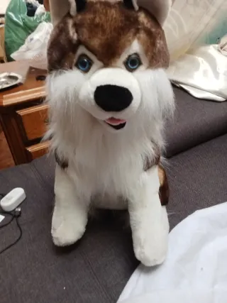 Peluche Husky Azul