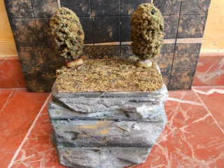 Escenografía propia