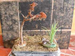 Escenografía propia