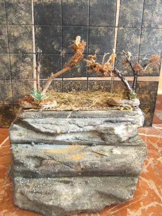 Escenografía propia