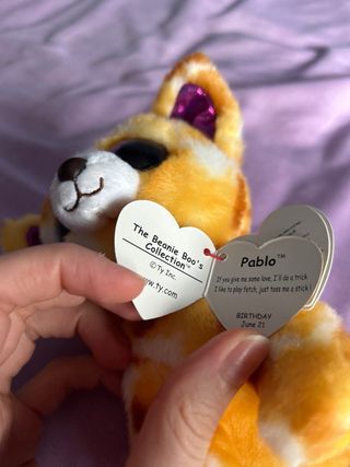 Beanie Boos Pablo Perro Peluche
