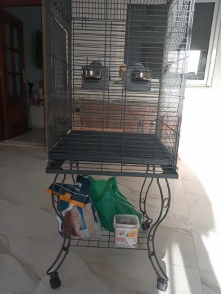 Jaula para loro grande