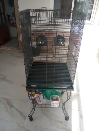 Jaula para loro grande