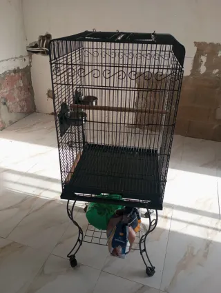 Jaula para loro grande