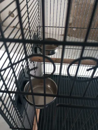 Jaula para loro grande