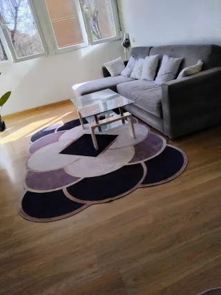 Sofá cama y alfombra diseño