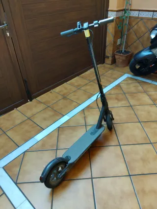 Patinete Eléctrico Xiaomi Essential