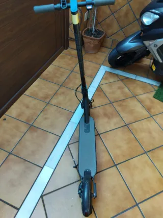 Patinete Eléctrico Xiaomi Essential