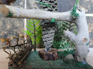 Escenografía personal