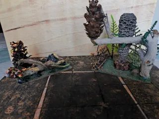 Escenografía personal