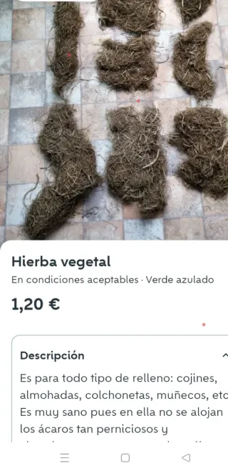 Hierba