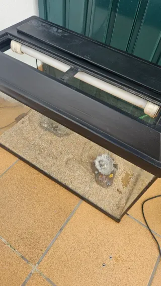 Acuario completo con filtro eheim y calentador