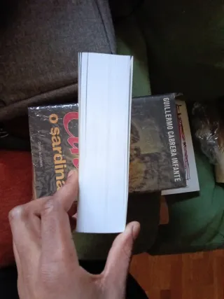 La democracia en América