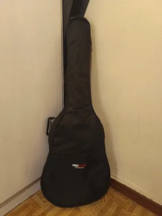 Guitarra Española Ritmo T-2