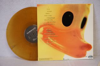 Vinilo Nirvana Incesticide Color