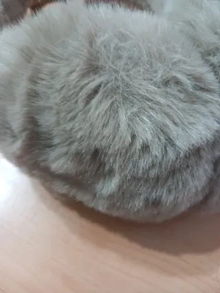 Paraorecchie invernale