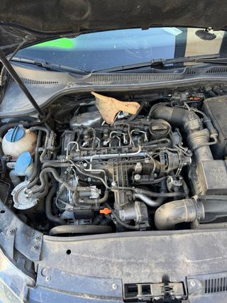 Despiece Volkswagen Golf VI 1.6 TDI Año 2010